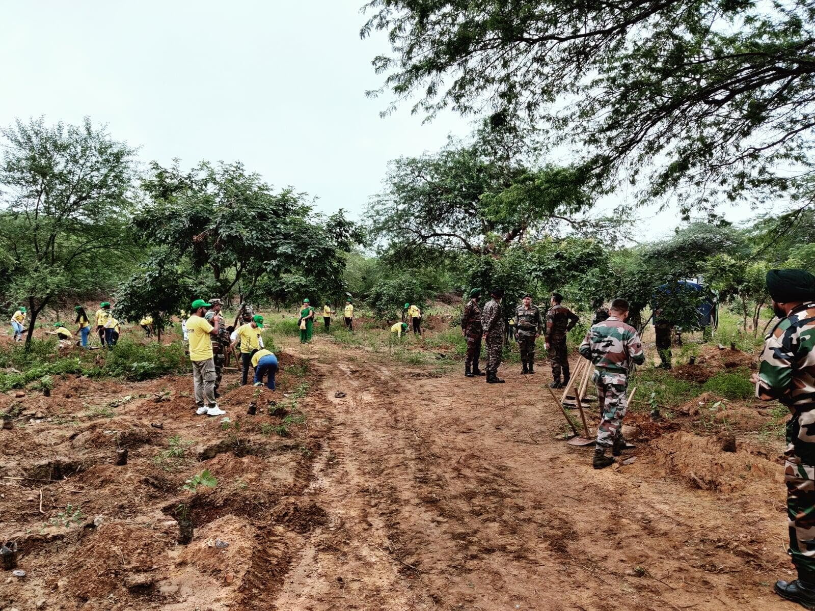 Sewa International volunteers planting saplings during a community plantation drive