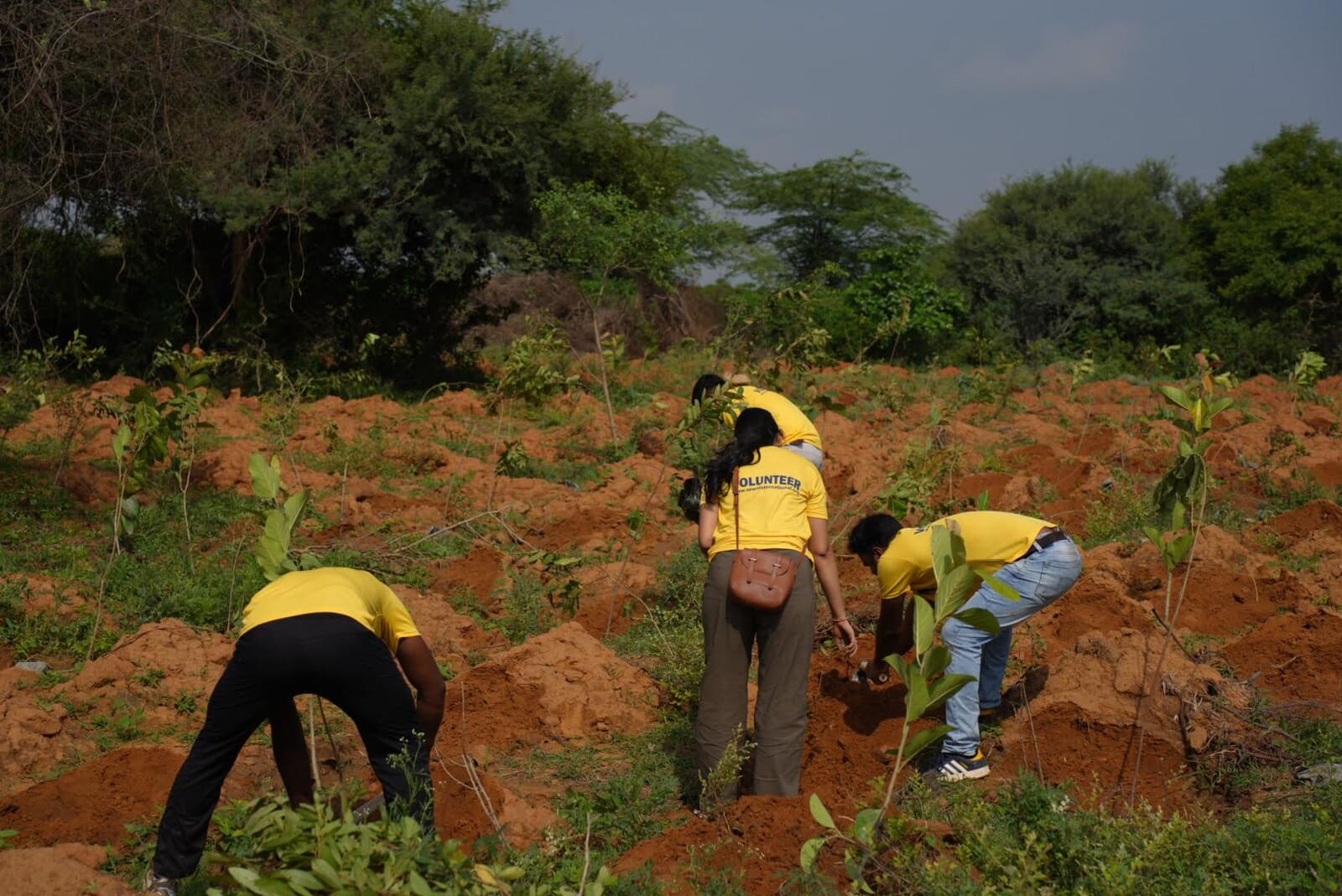 Sewa International volunteers planting saplings during a community plantation drive