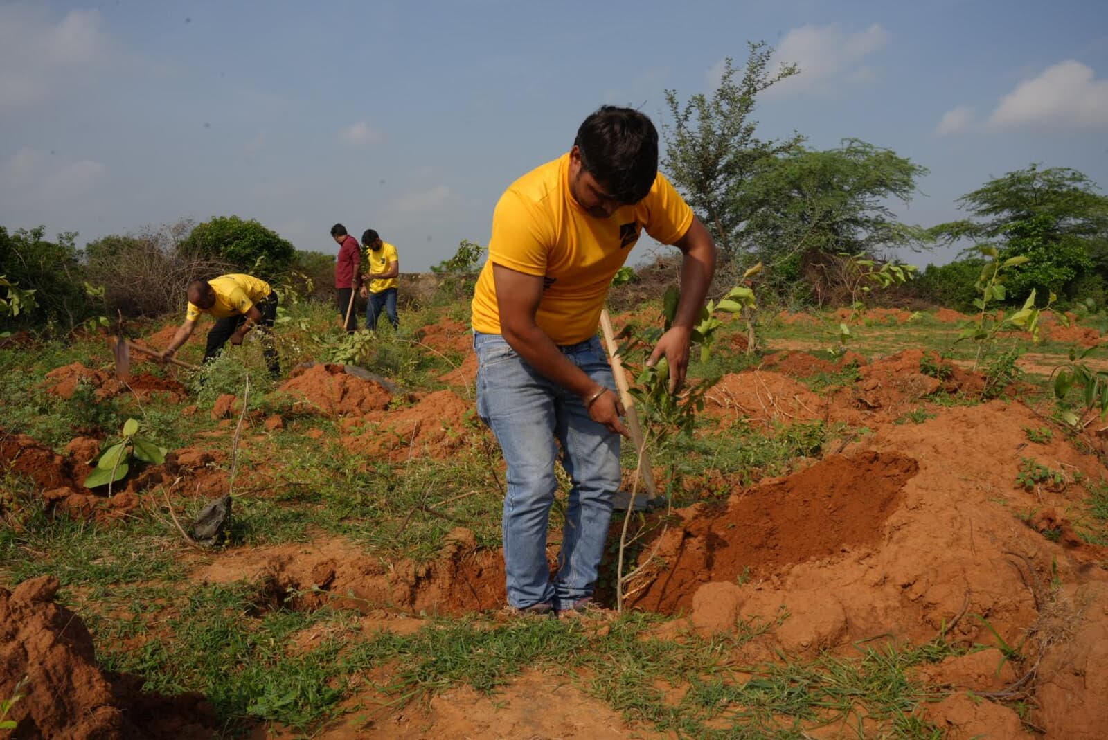 Sewa International volunteers planting saplings during a community plantation drive