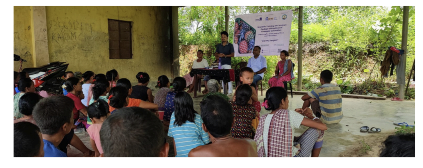 Farmers and Sewa International team members at a Pineapple Cultivation Livelihood Program session