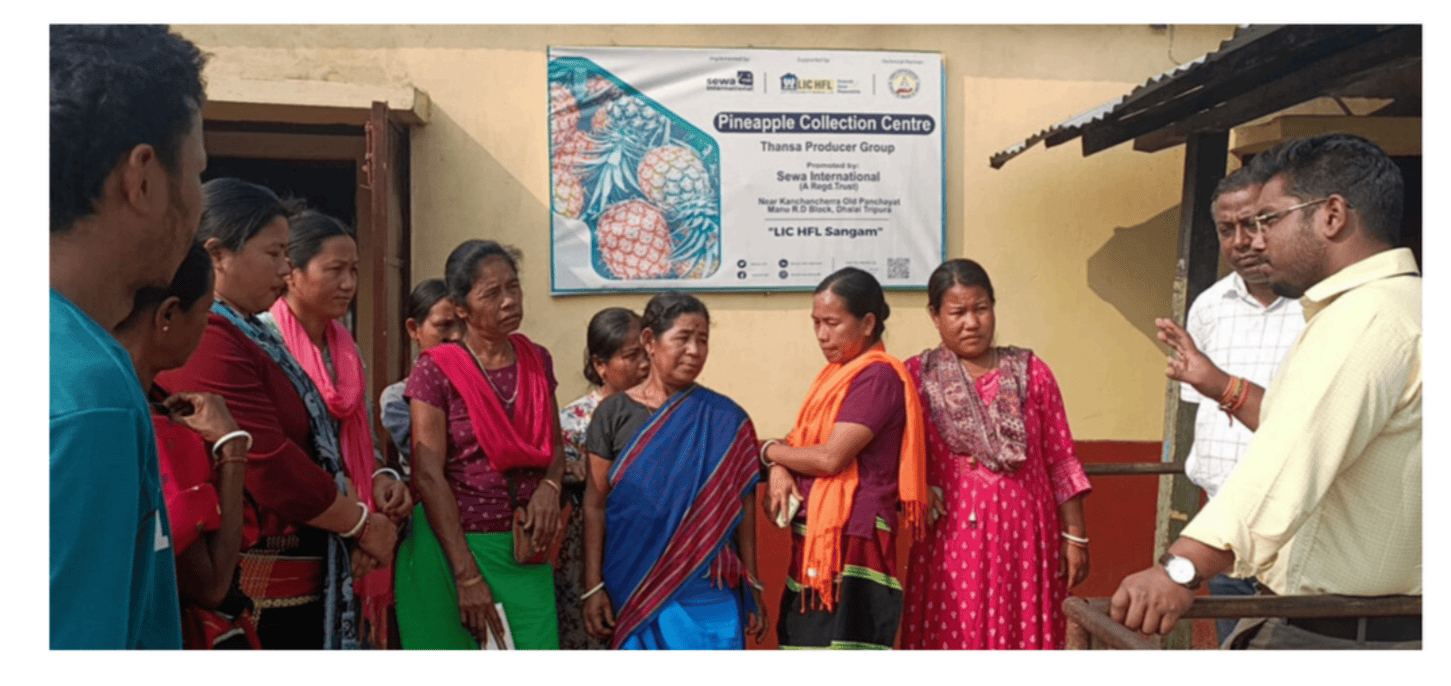 Farmers and Sewa International team members at a Pineapple Cultivation Livelihood Program session