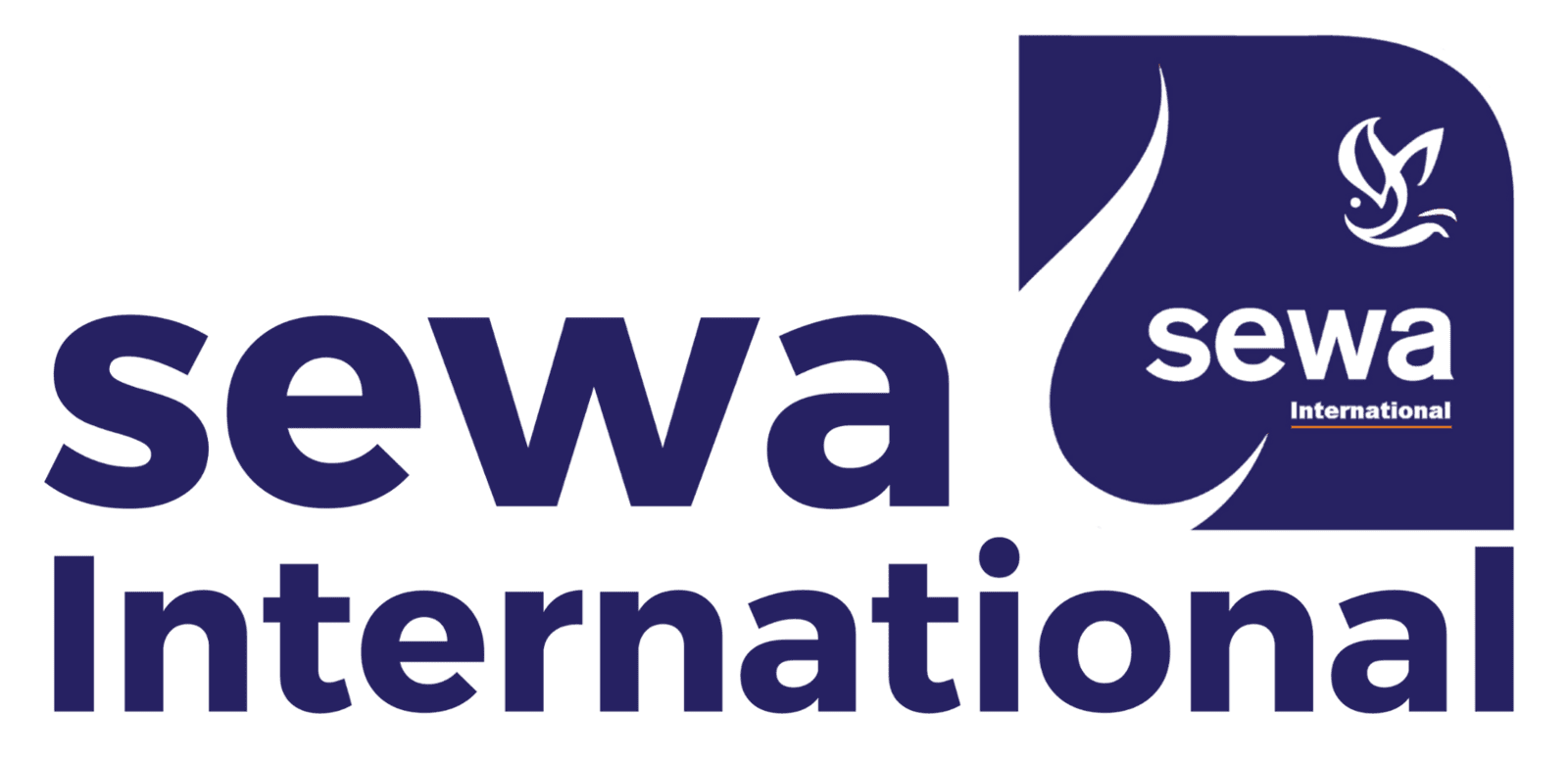 Sewa Fellowship Goal To 'Cultivate Future Social Leaders' 2024-26